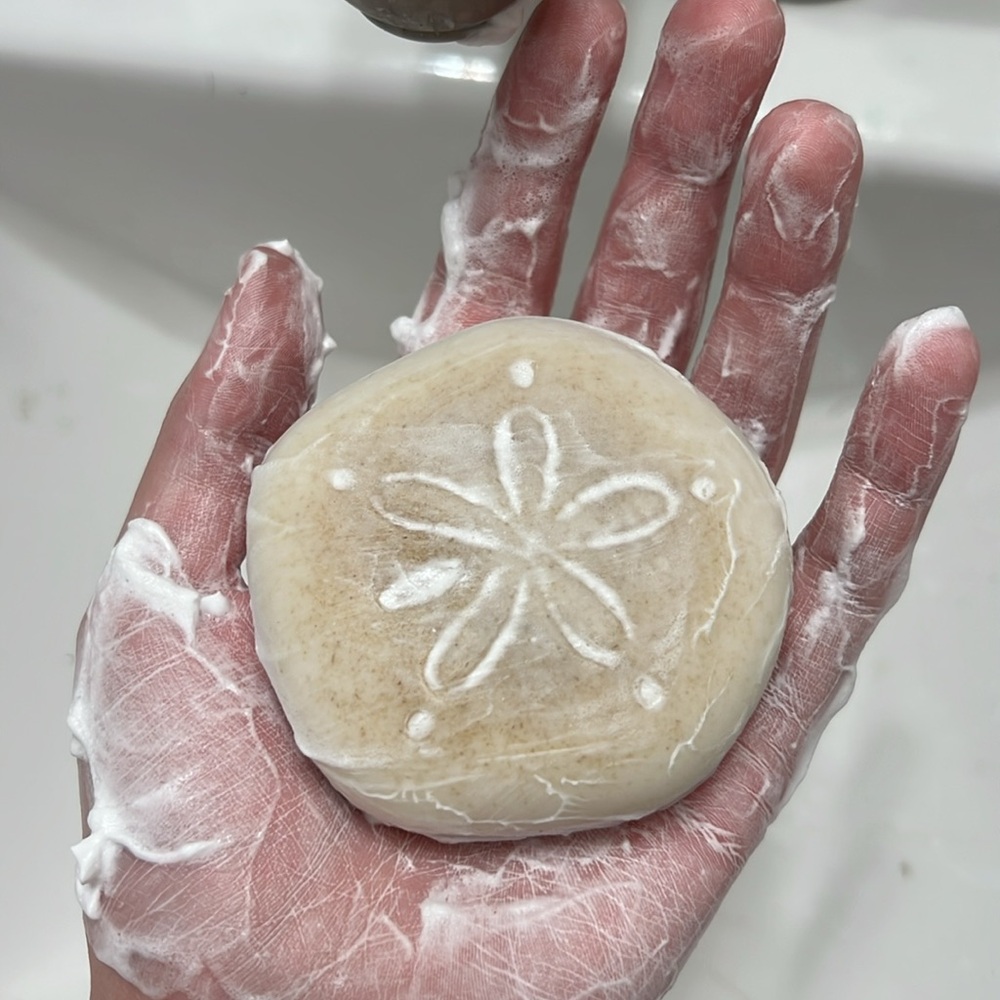 Hand Crafted “Coconut Paradise” Scented Sand Dollar Oatmeal Bar Soap - Picture 2 of 4
